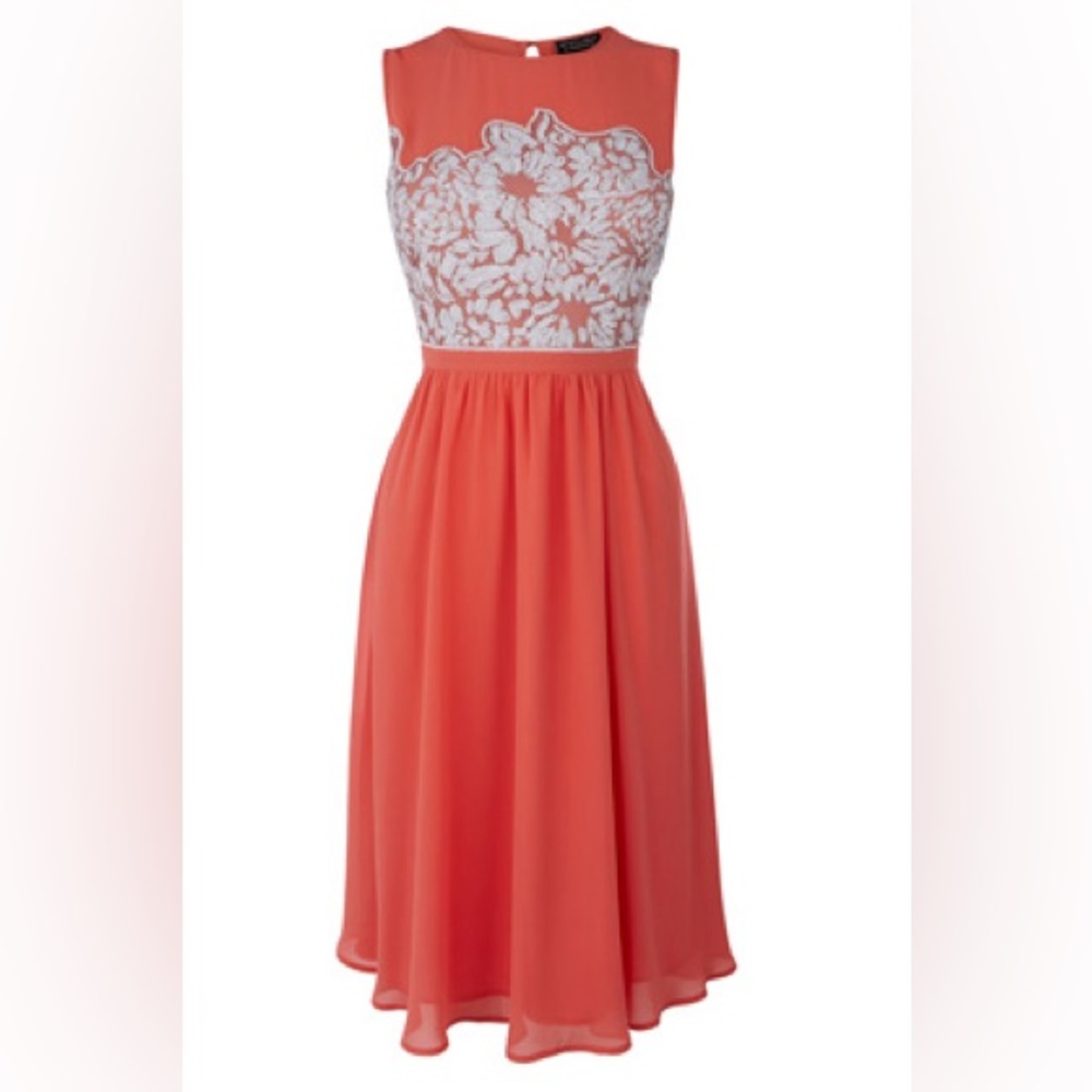 Spotlight By Warehouse | Coral Skater Dress Mesh Sequin Embellishment Size US6